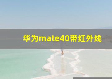 华为mate40带红外线