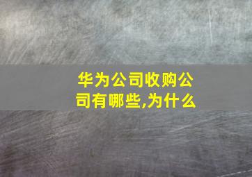 华为公司收购公司有哪些,为什么