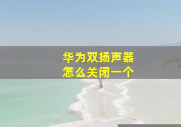 华为双扬声器怎么关闭一个