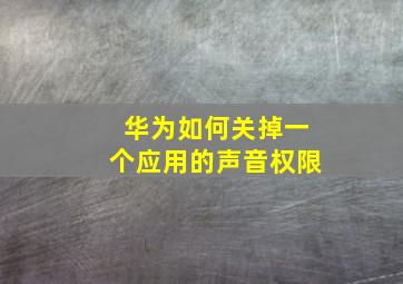 华为如何关掉一个应用的声音权限