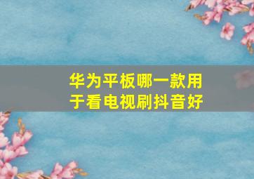 华为平板哪一款用于看电视刷抖音好