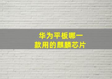 华为平板哪一款用的麒麟芯片