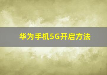 华为手机5G开启方法