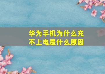 华为手机为什么充不上电是什么原因