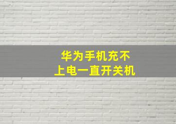 华为手机充不上电一直开关机