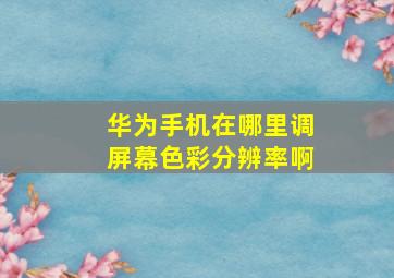 华为手机在哪里调屏幕色彩分辨率啊