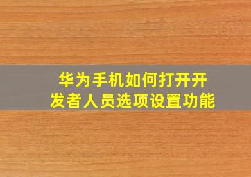 华为手机如何打开开发者人员选项设置功能