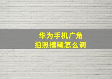 华为手机广角拍照模糊怎么调