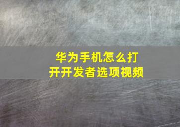 华为手机怎么打开开发者选项视频