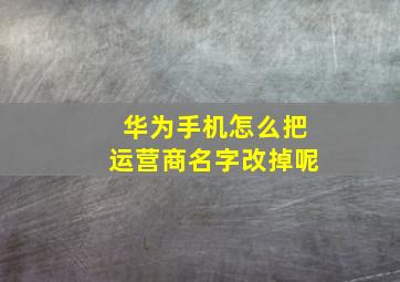 华为手机怎么把运营商名字改掉呢