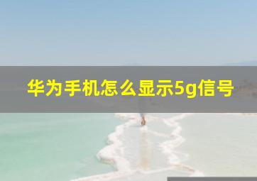 华为手机怎么显示5g信号