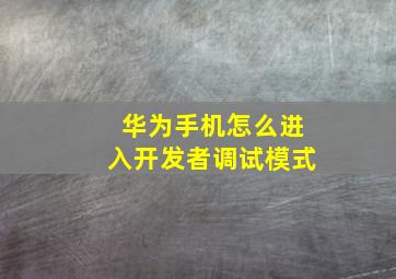 华为手机怎么进入开发者调试模式