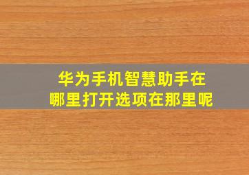 华为手机智慧助手在哪里打开选项在那里呢