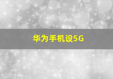 华为手机设5G