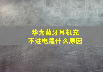 华为蓝牙耳机充不进电是什么原因