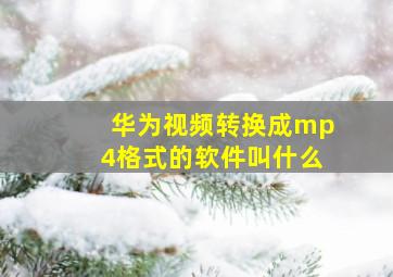 华为视频转换成mp4格式的软件叫什么