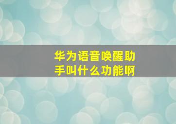 华为语音唤醒助手叫什么功能啊