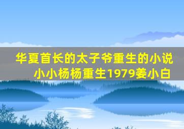 华夏首长的太子爷重生的小说小小杨杨重生1979姜小白