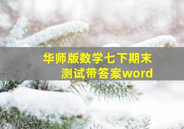 华师版数学七下期末测试带答案word