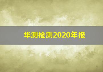 华测检测2020年报