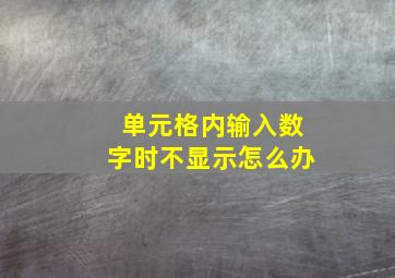 单元格内输入数字时不显示怎么办