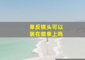 单反镜头可以装在微单上吗