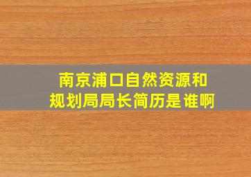 南京浦口自然资源和规划局局长简历是谁啊