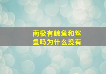 南极有鲸鱼和鲨鱼吗为什么没有