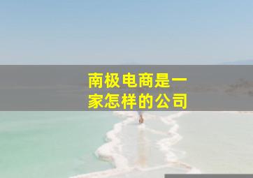 南极电商是一家怎样的公司