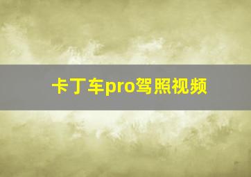 卡丁车pro驾照视频