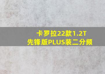 卡罗拉22款1.2T先锋版PLUS装二分频