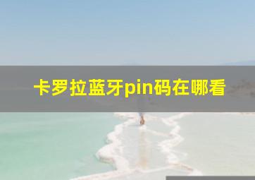 卡罗拉蓝牙pin码在哪看