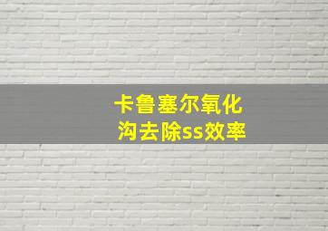 卡鲁塞尔氧化沟去除ss效率