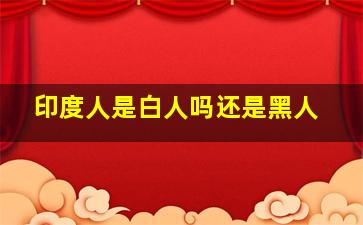 印度人是白人吗还是黑人