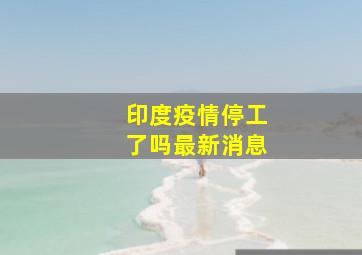 印度疫情停工了吗最新消息