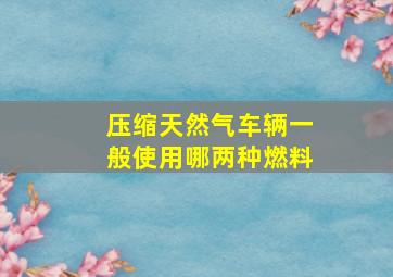 压缩天然气车辆一般使用哪两种燃料