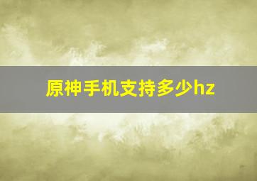 原神手机支持多少hz