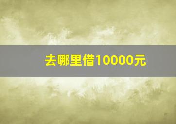 去哪里借10000元