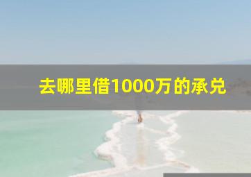 去哪里借1000万的承兑