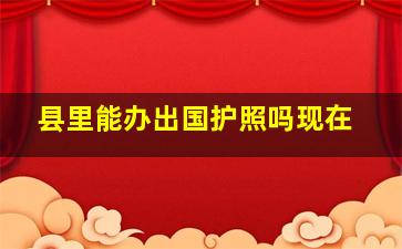 县里能办出国护照吗现在