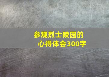 参观烈士陵园的心得体会300字