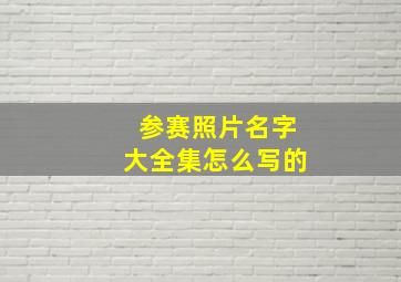 参赛照片名字大全集怎么写的