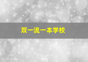 双一流一本学校