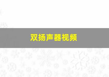 双扬声器视频