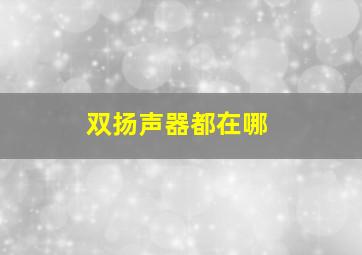 双扬声器都在哪