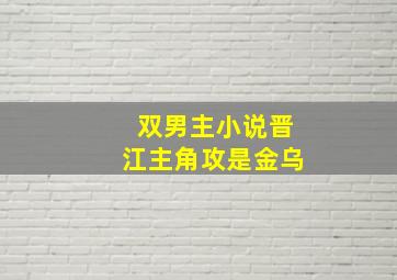 双男主小说晋江主角攻是金乌