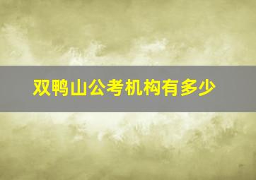 双鸭山公考机构有多少