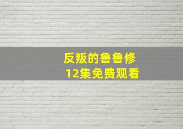 反叛的鲁鲁修12集免费观看