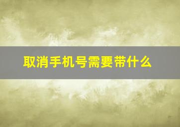 取消手机号需要带什么