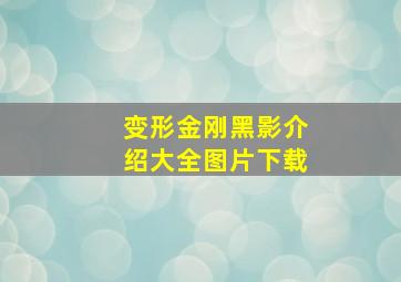 变形金刚黑影介绍大全图片下载